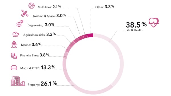 CCR Re breakdown of premium income 2019-1