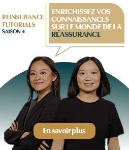 RT-S4-encart-blog-FR